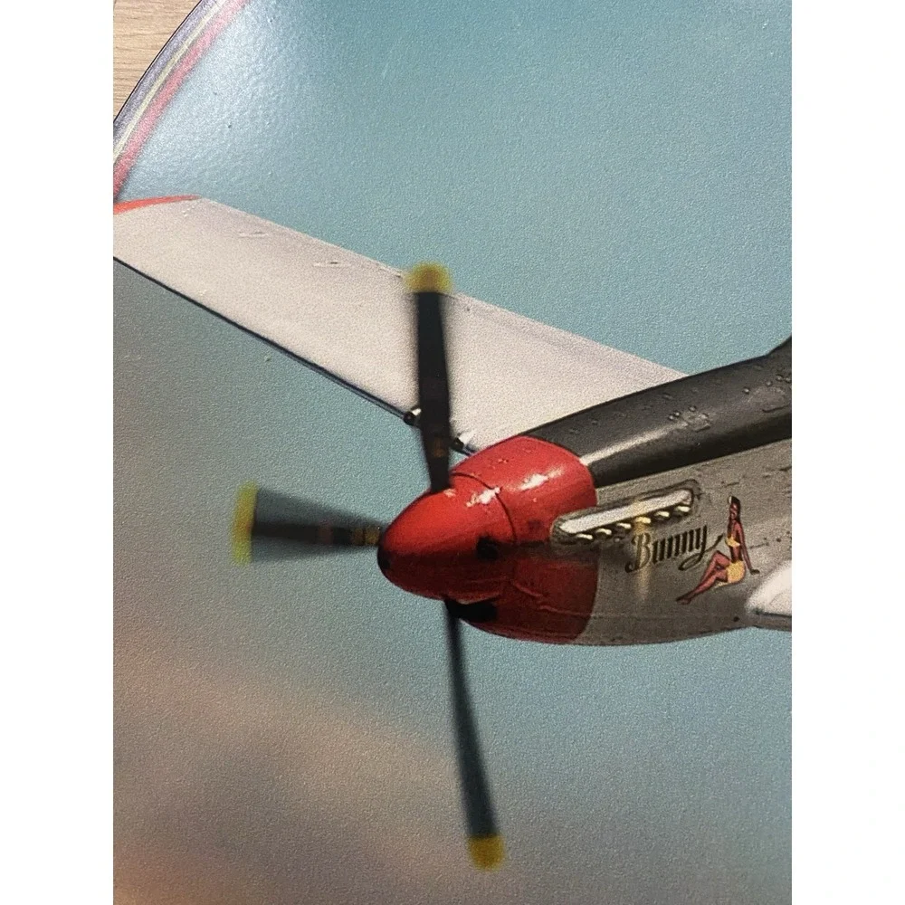 P-51 Mustang 14